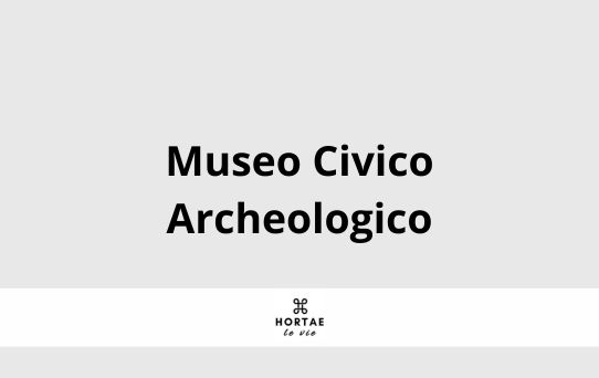 Museo Civico Archeologico